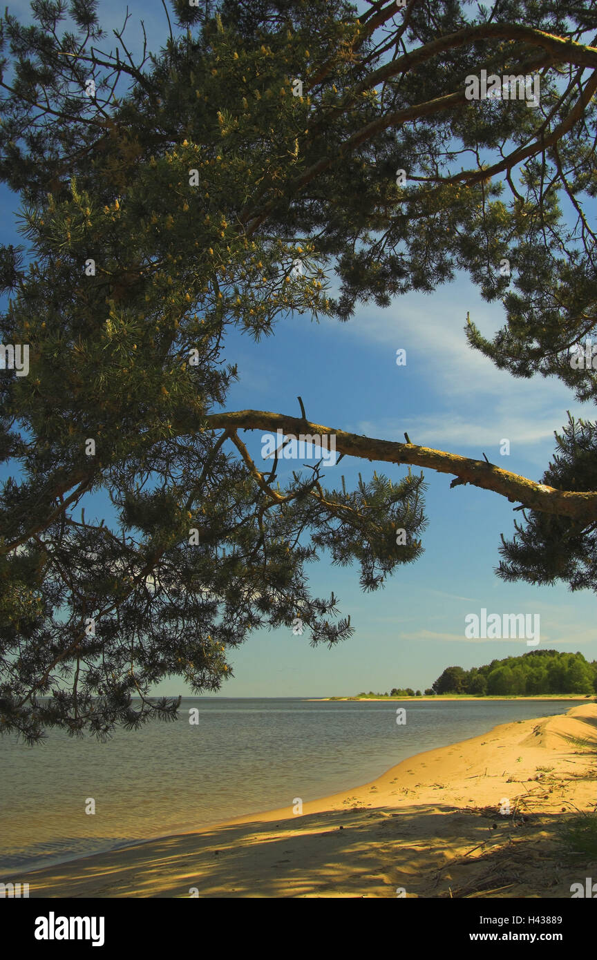 Estate idillio, Kurisches lagoon, Juodkrante, national park resort benessere ampia bay bar, Lituania, Foto Stock