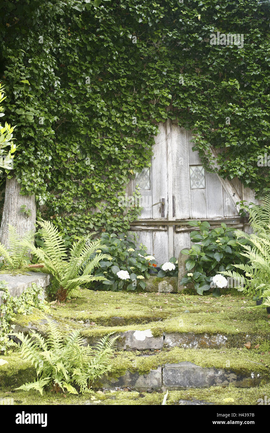 Giardino, porta di legno, ricoperta, Foto Stock