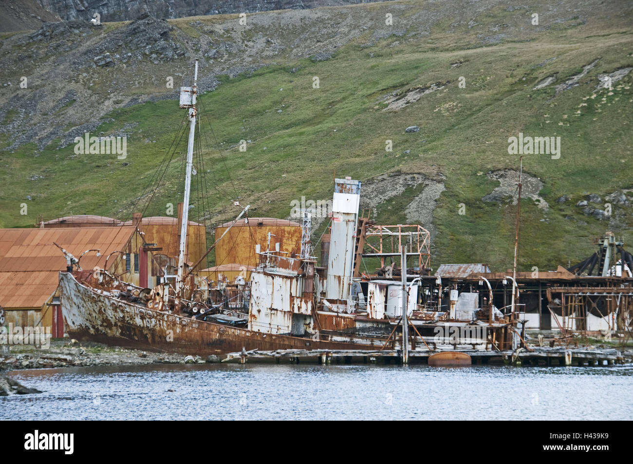 Südgeorgien, Grytviken, costa, balena vecchia stazione di lavorazione, relitto della nave, Foto Stock