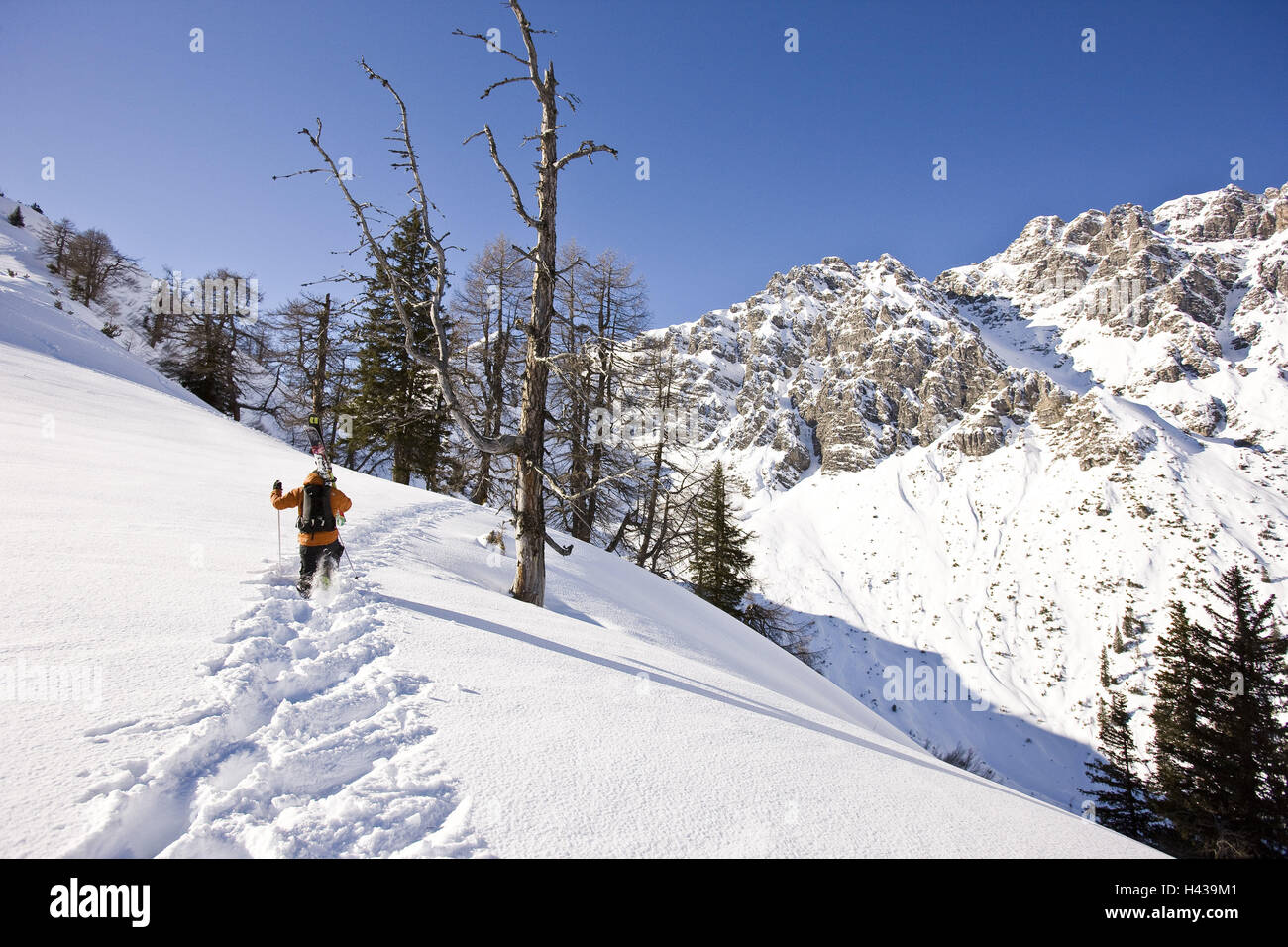 Austria Vorarlberg, Brandnertal, sciatore, vista posteriore, ascendenti Foto Stock