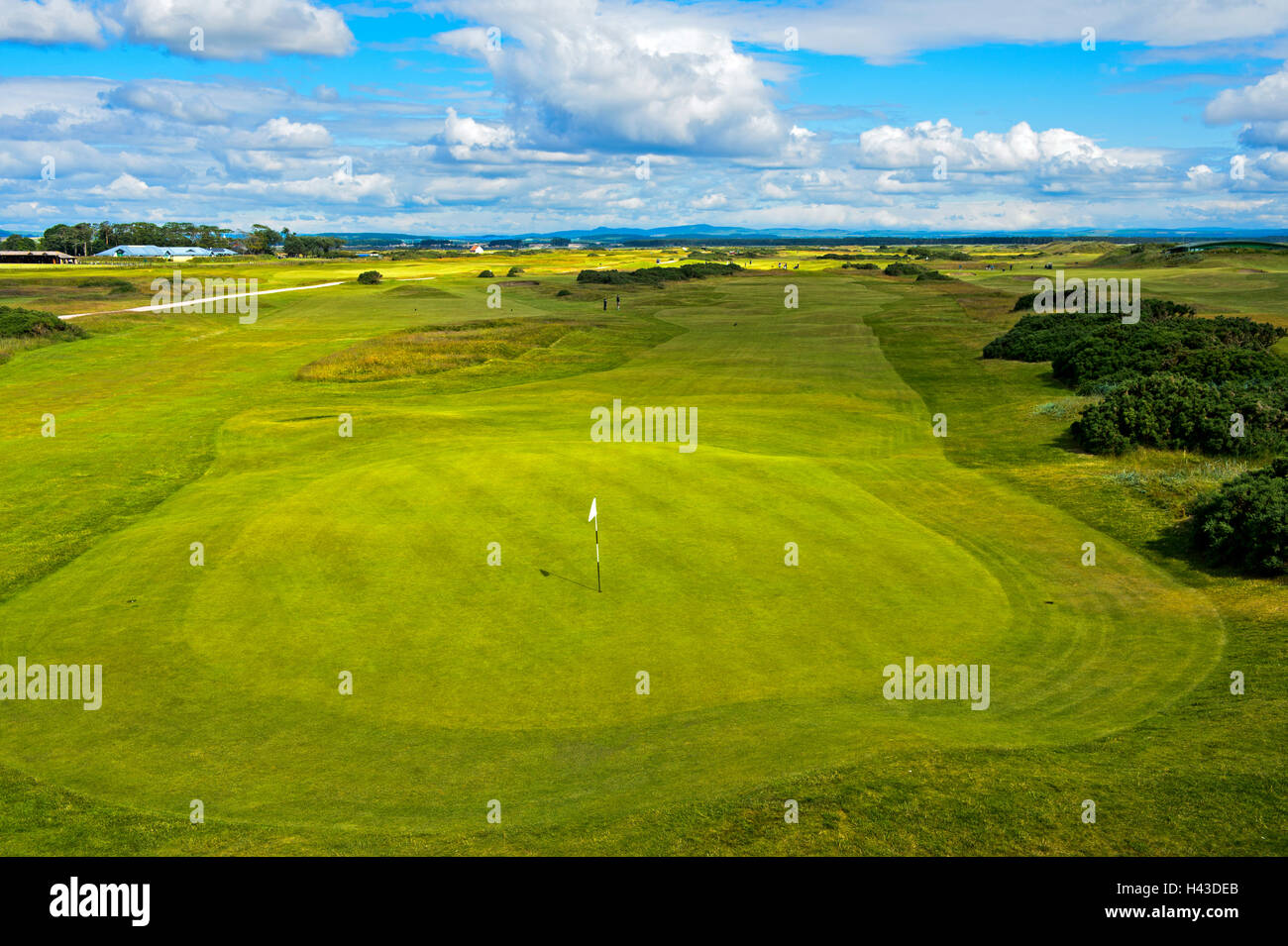Verdi di St Andrews Links Golf Course, St Andrews Fife, Scozia, Regno Unito Foto Stock