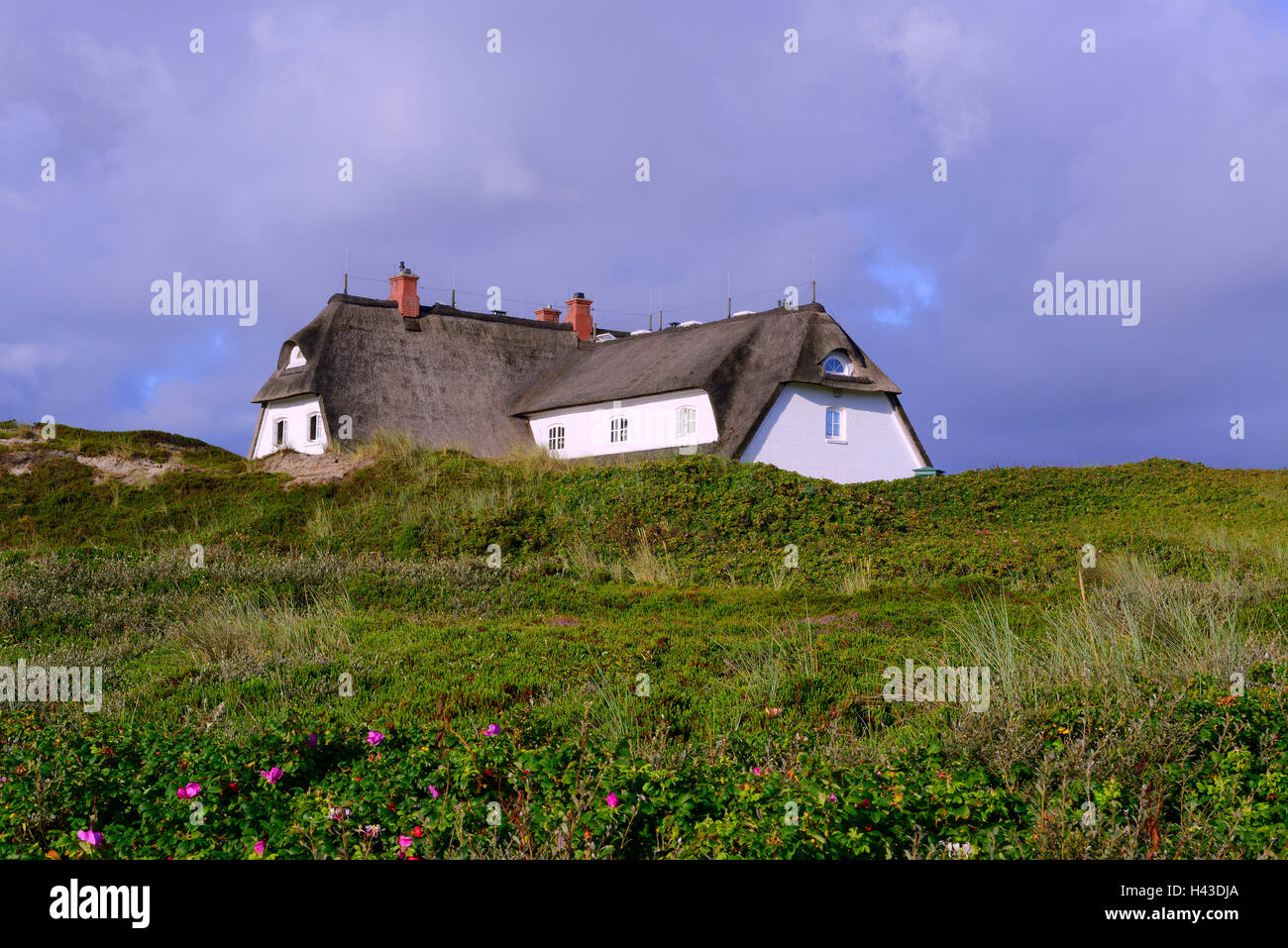 Hotel di lusso Söl'ring Hof in dune di Rantum, Sylt, Nord Isole Frisone, Frisia settentrionale, Schleswig-Holstein, Germania Foto Stock