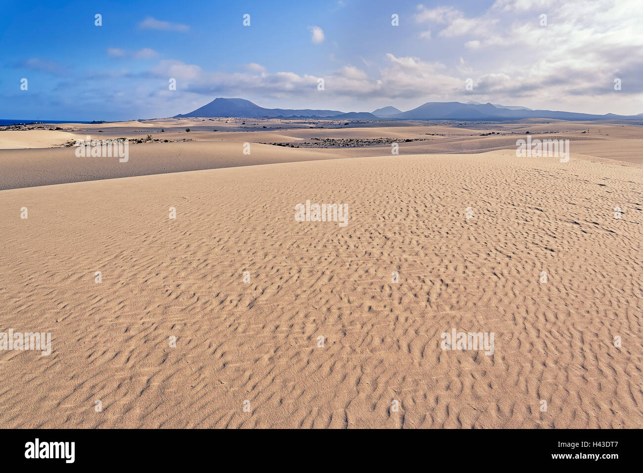 Le dune di sabbia, corralejo parco naturale, Fuerteventura, Isole canarie, Spagna Foto Stock