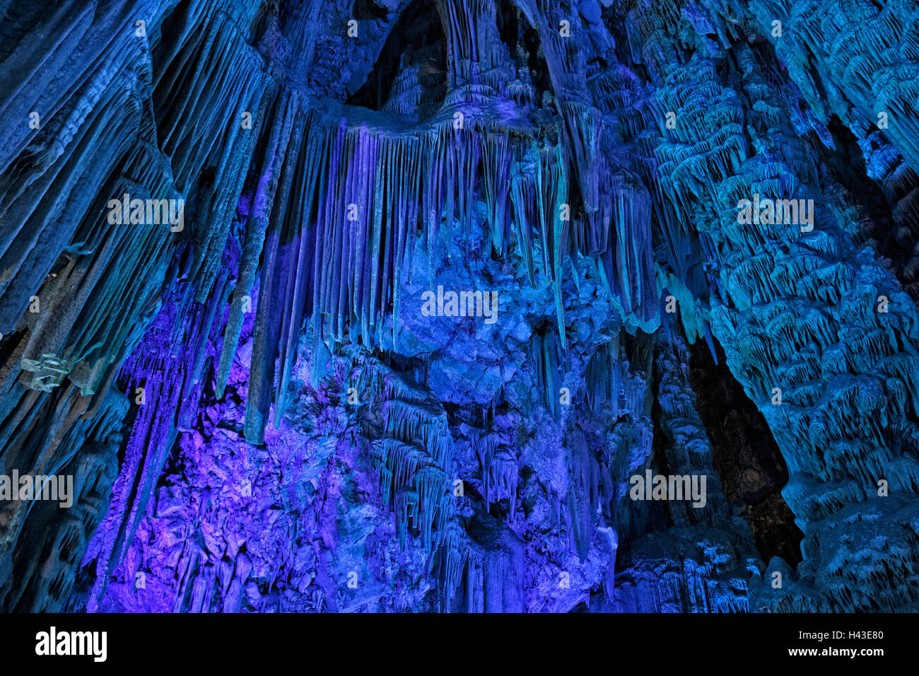 La grotta di stalattiti di San Michele, Grotta Grotta di calcare nella Riserva Naturale della Rocca superiore, illuminato, Gibilterra Foto Stock