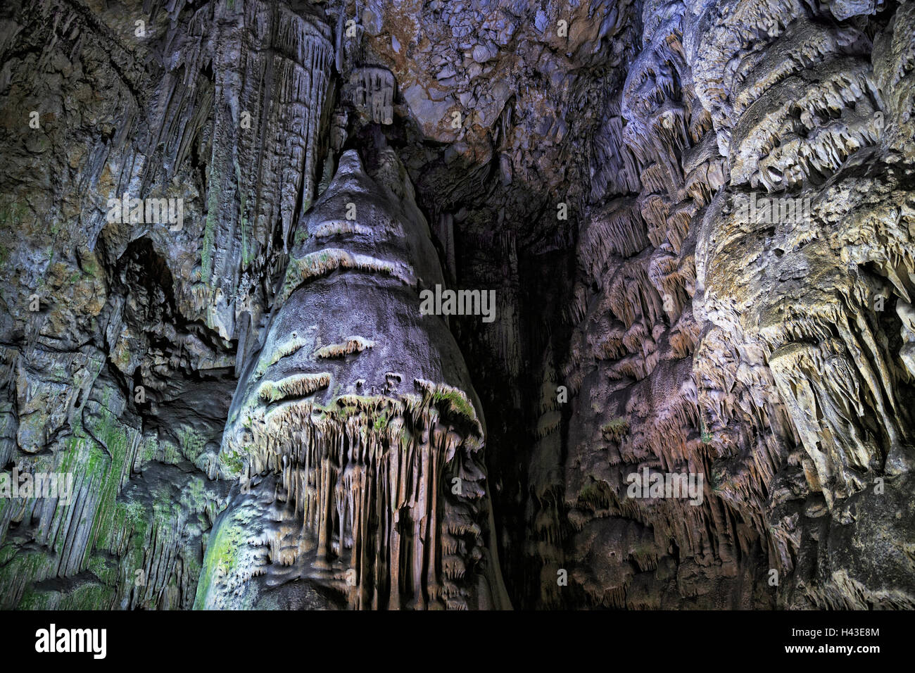 La grotta di stalattiti di San Michele, Grotta Grotta di calcare nella Riserva Naturale della Rocca superiore, illuminato, Gibilterra Foto Stock