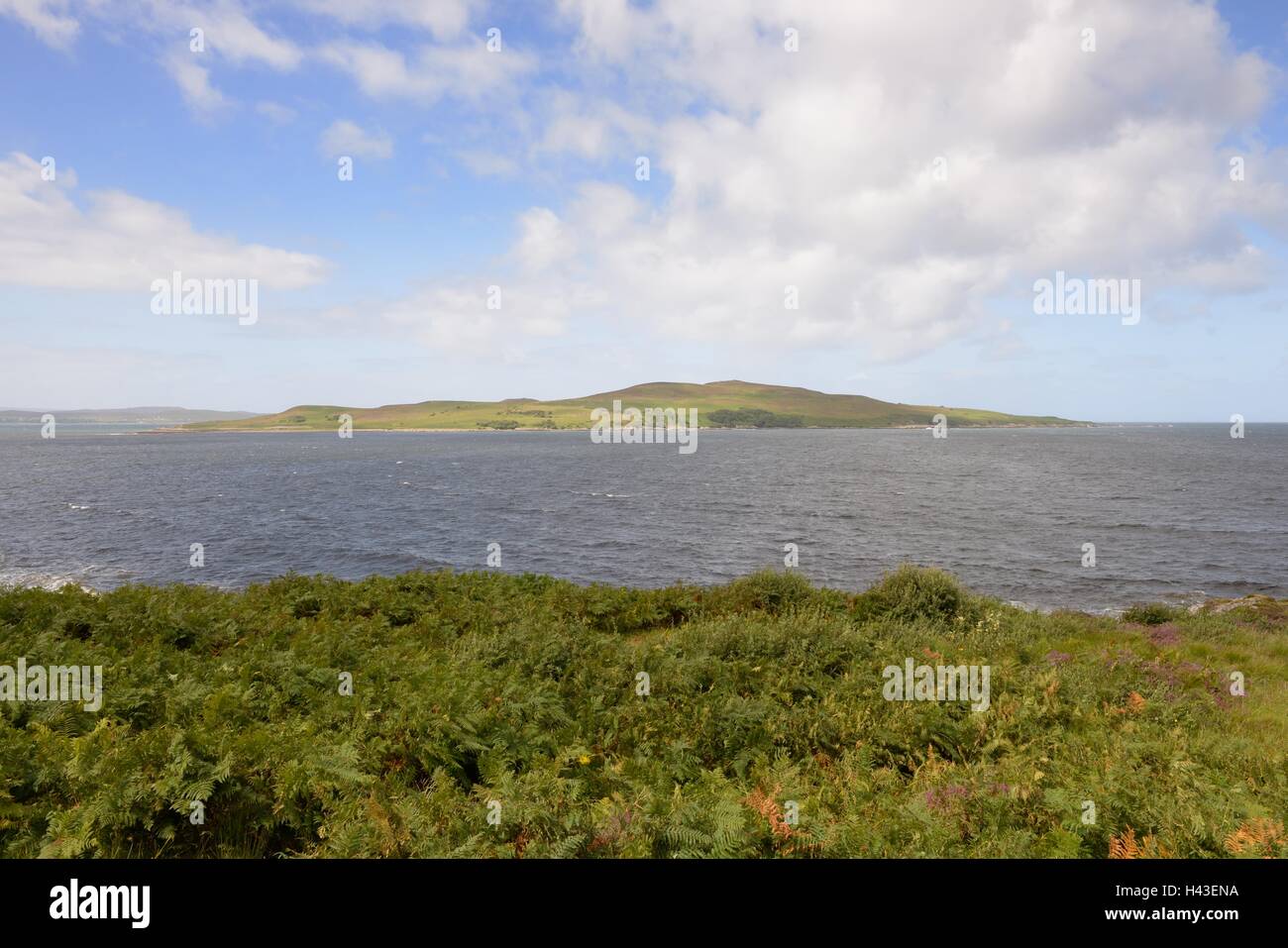 L'isola di Gruinard, appena fuori dalla terraferma, nella baia di Gruinard, è stata contaminata da antrace nei processi militari nelle Highlands scozzesi, nel Regno Unito Foto Stock