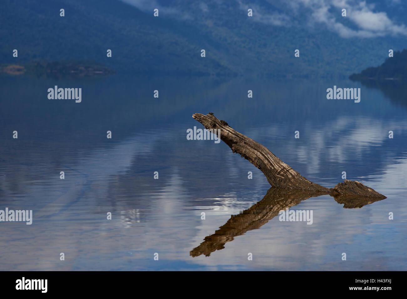 Lago Rosselot situato lungo la Carretera Austral nella regione di Aysen del sud del Cile. Foto Stock