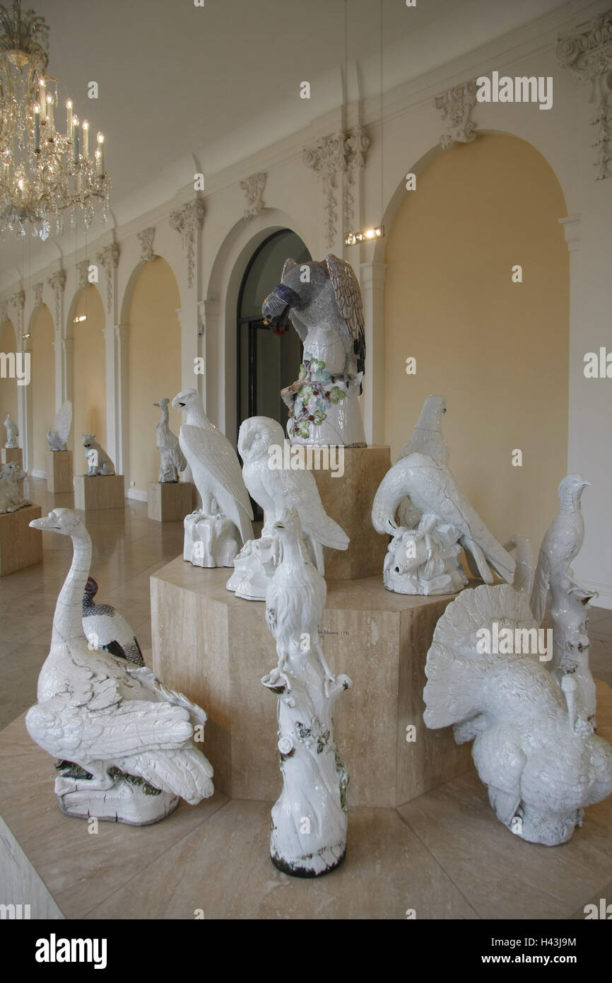 In Germania, in Sassonia, Dresda, Museo delle porcellane, mostre, museo, porcellana, raccolta, porcellana, caratteri animale, porcellana animali, mostre, arte, artigianato, luogo di interesse, destinazione, turismo, Foto Stock