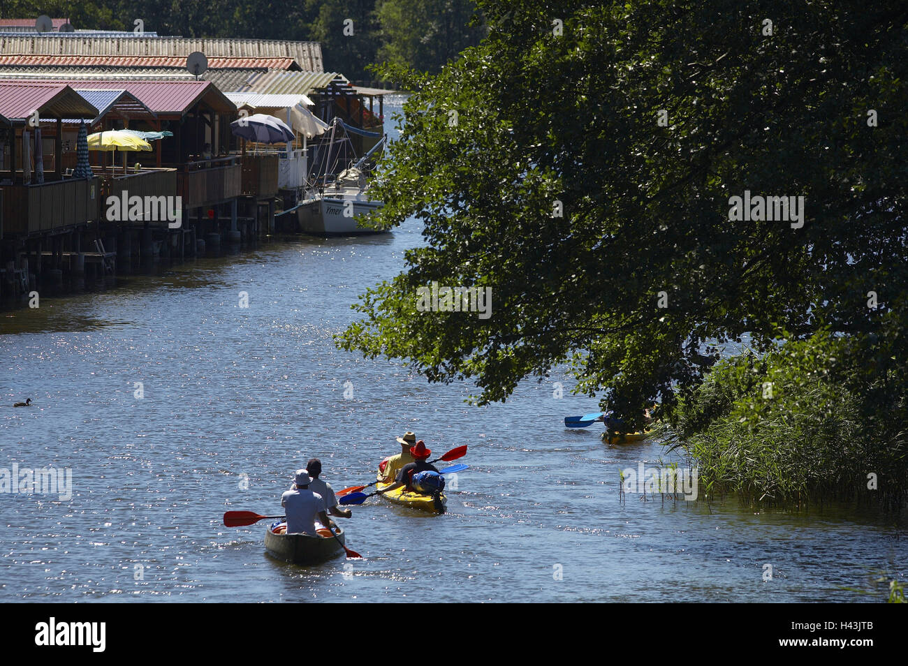 Germania, Mecklenburg pianura pianura piena di laghi, Müritz Elde fluviale, canoa, driver Foto Stock