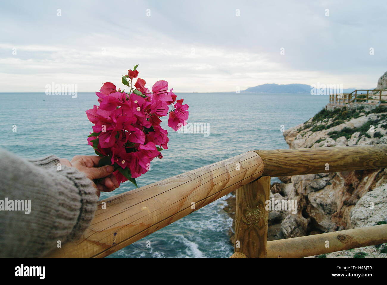 Una donna appoggiata sulle ringhiere dal mare di fiori di contenimento Foto Stock