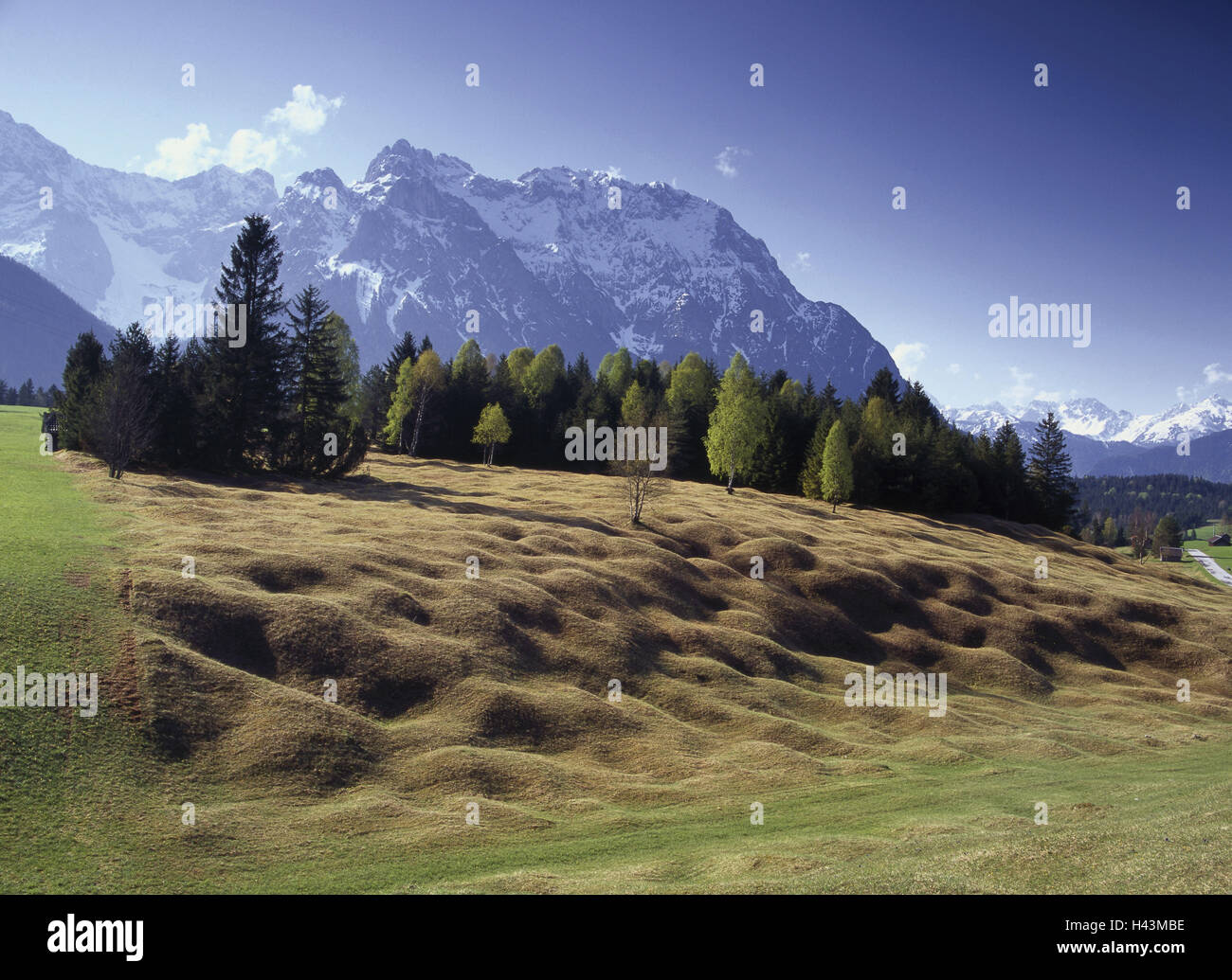 In Germania, in Baviera, alp mondo Karwendel, scenario, hump prati, Alta Baviera, alpi, montagne, montagne, vertici, prato, deserte, il riposo, il silenzio, il cielo blu, vista, hill, hump sorprendentemente, UNESCO-mondo natura erede, Foto Stock