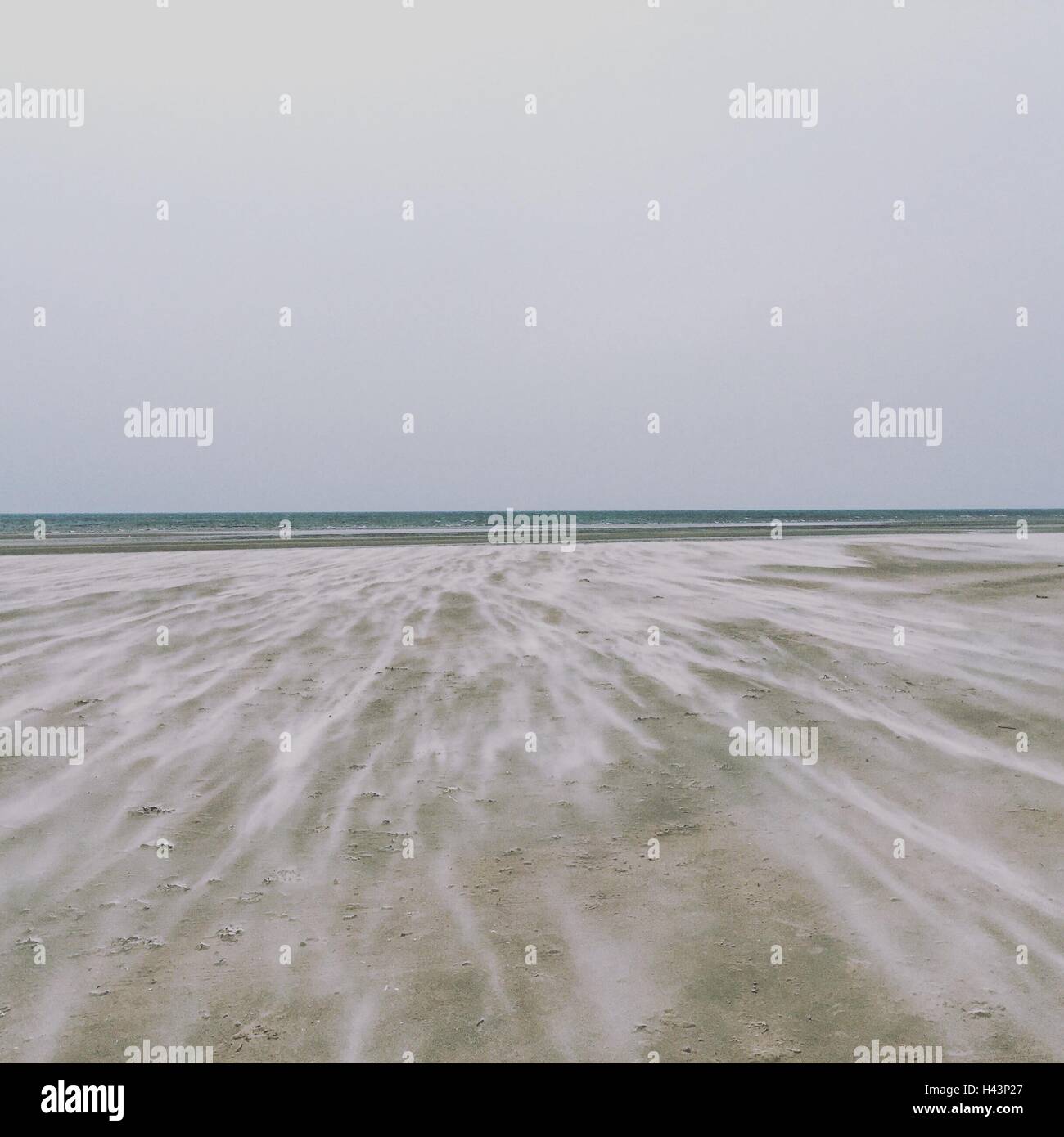 Tempesta di sabbia sulla spiaggia, Fanoe, Danimarca Foto Stock