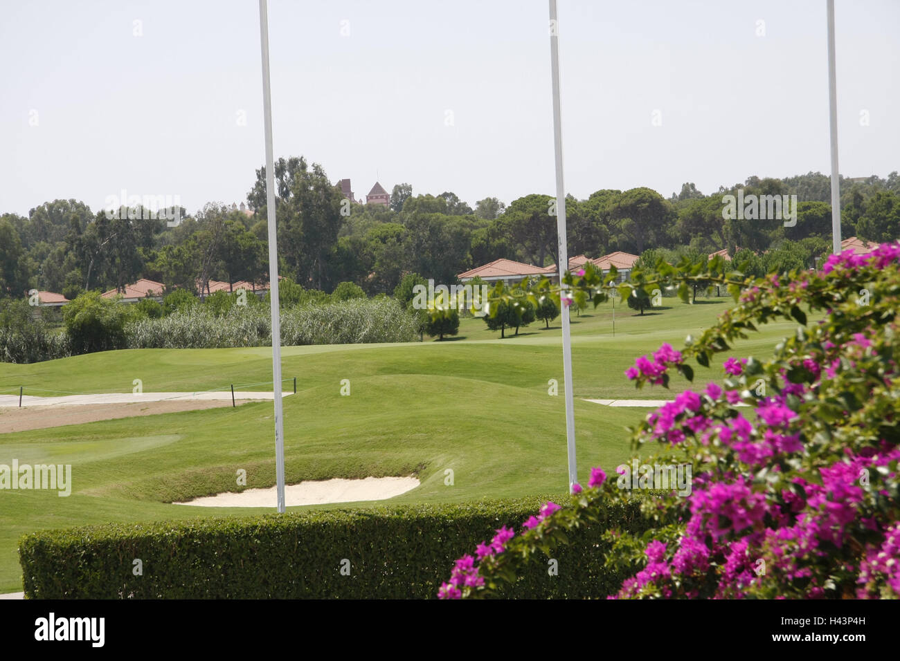 Turchia, Belek, campo da golf "ultan', vacanze, turismo, tempo libero, sport Golf sport, impianti impianto da golf e fondi erbosi, ostacolo, bunker, bougainvillaea, quelli rosa, Foto Stock