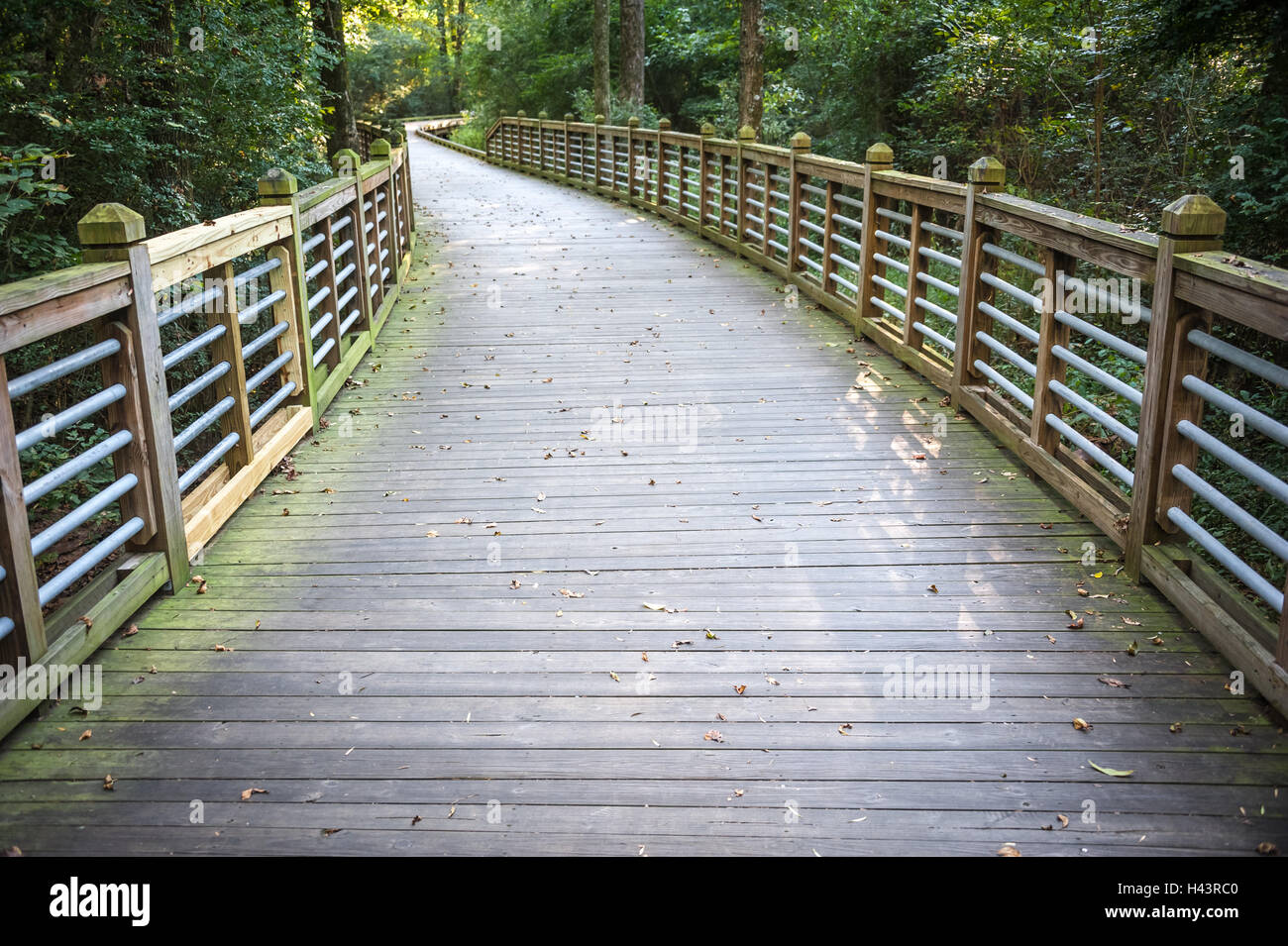 Extended boardwalk sul Camp Creek Greenway Trail, un 4,2-mile multi-uso trail originari di Lilburn City Park, Lilburn, GA. Foto Stock