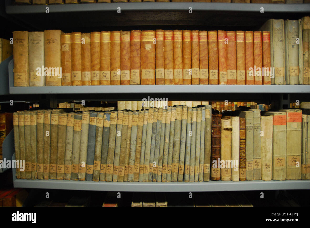 Germania, Sassonia-Anhalt, Lutherstadt Wittenberg, università, libreria di seconda mano bookshop, Foto Stock