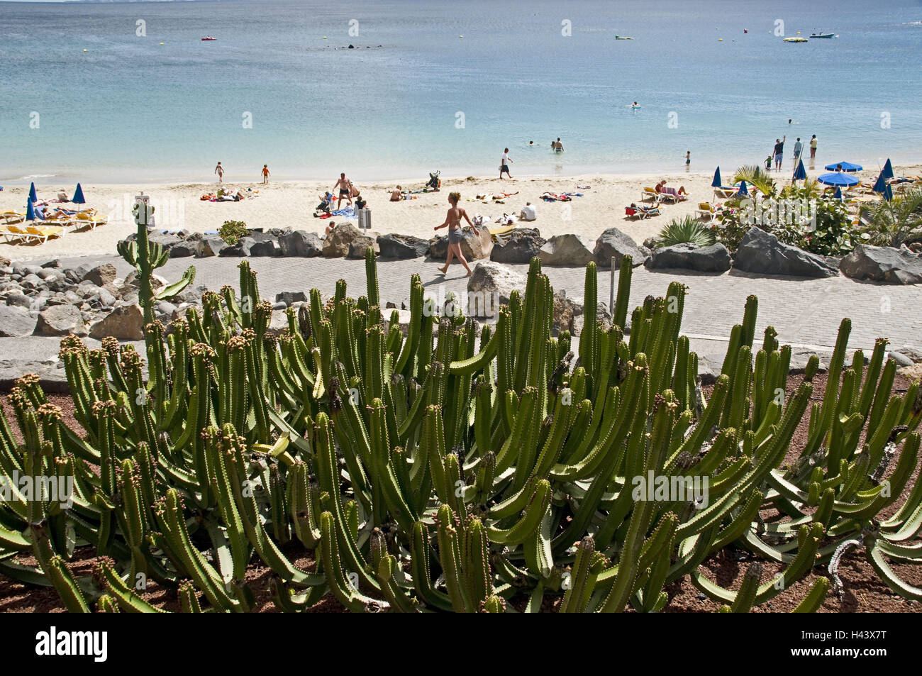 Spagna isole canarie Lanzarote, Playa Blanca, baia di spiaggia, Playa Dorada, turistico, Foto Stock