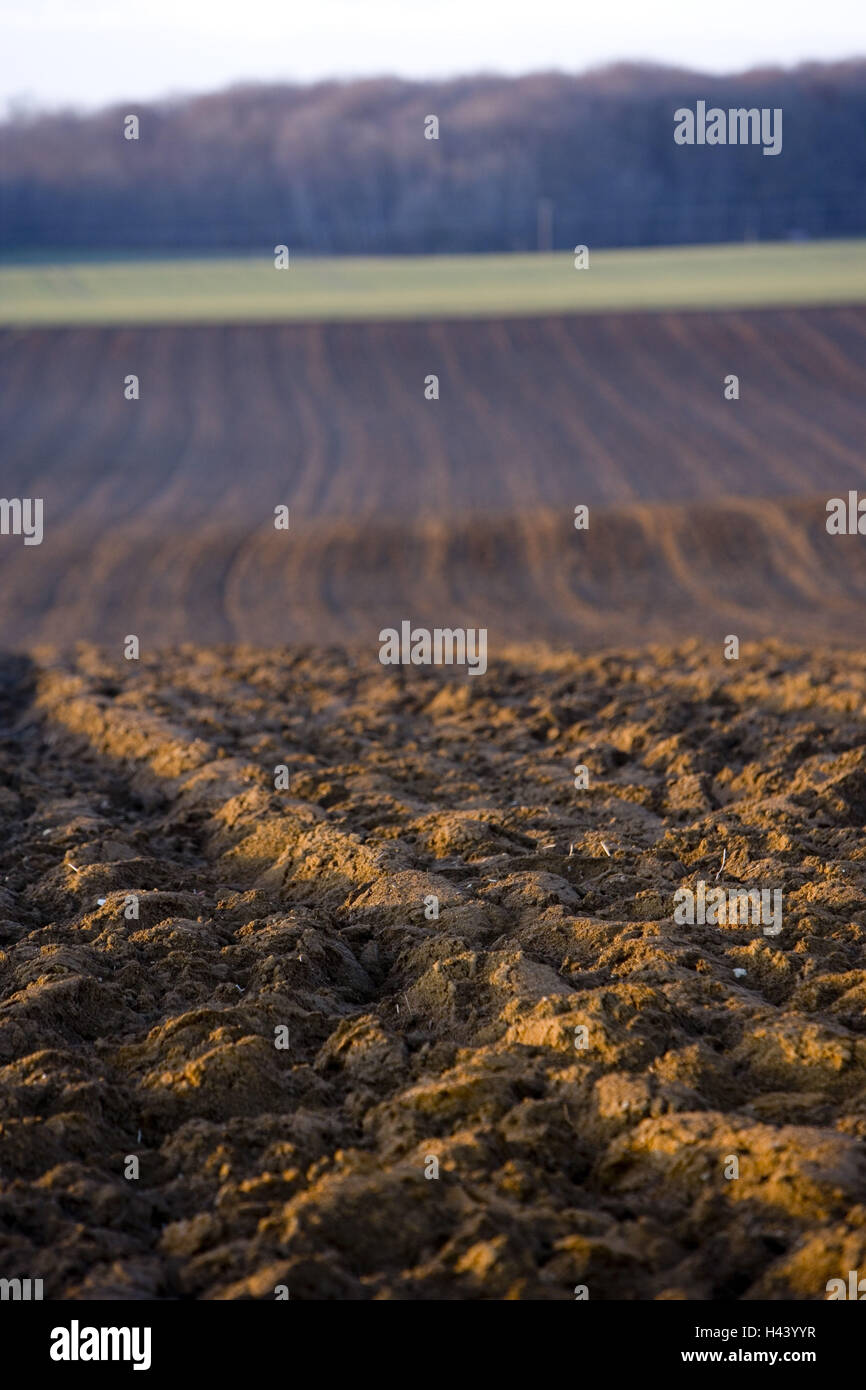 Francia, Franche-Compté, Haute-Saone, Grigio, scenario di campo, Foto Stock