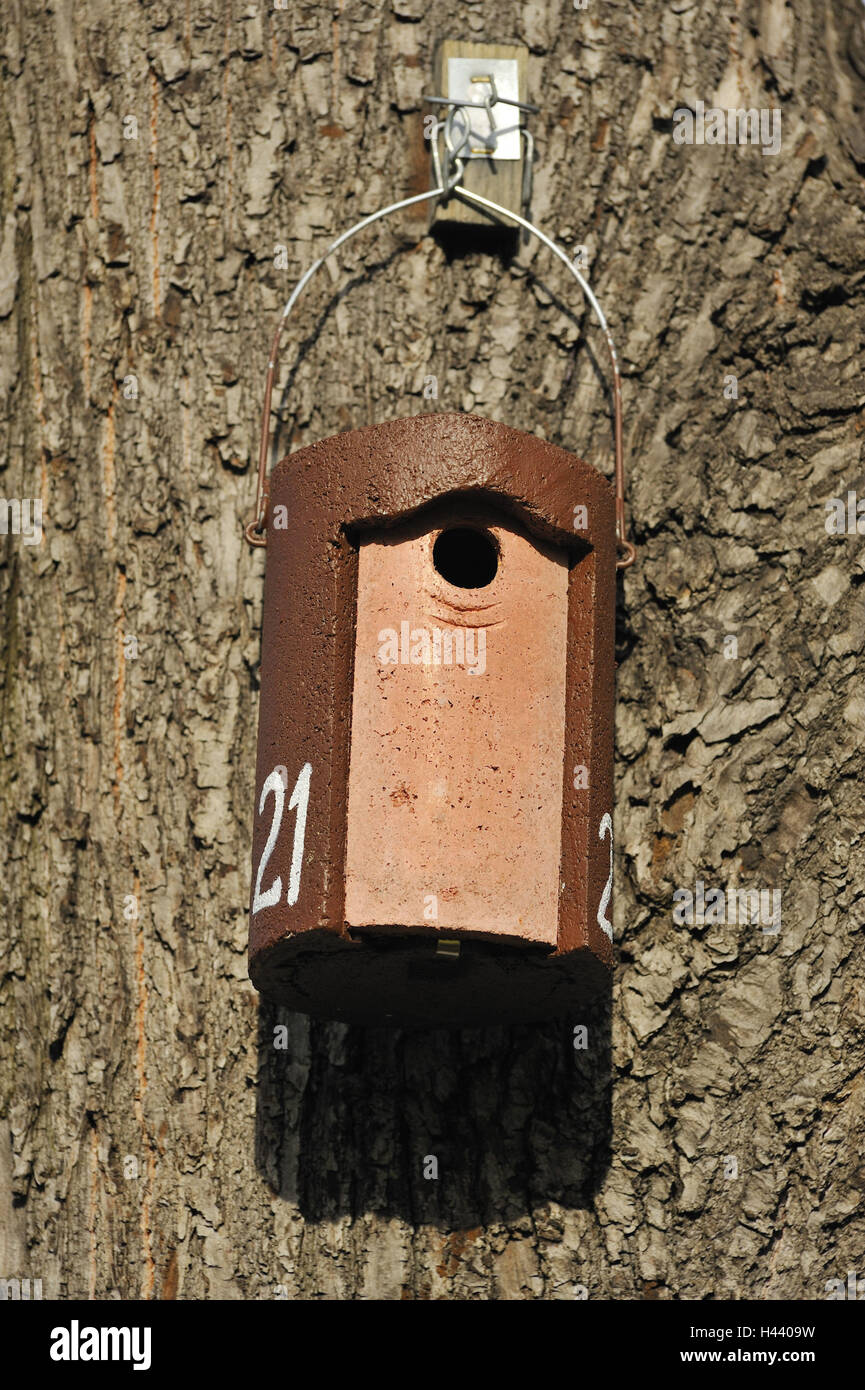 Tronco, dettaglio, uccello della casella di nesting, numero 21, Foto Stock