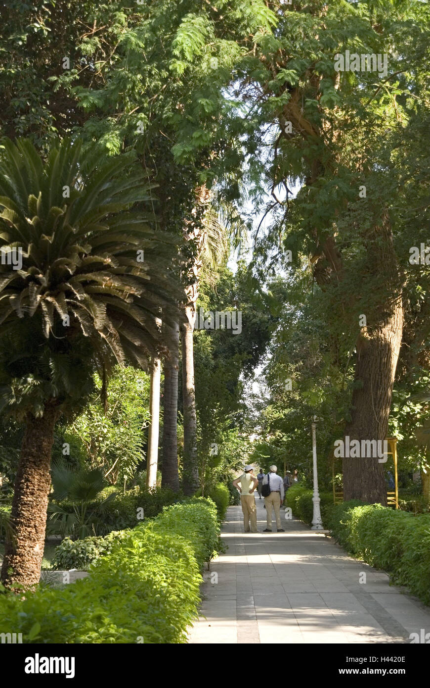 Egitto, Aswan, il Nilo, Isola Elefantina, parco, turistico, Africa, Alto Egitto, viaggi, vacanze, turismo, destinazione di villeggiatura, Nilo isola Elefantina, parco, alberi, modo, ombreggiato, di persone, luogo di interesse Foto Stock