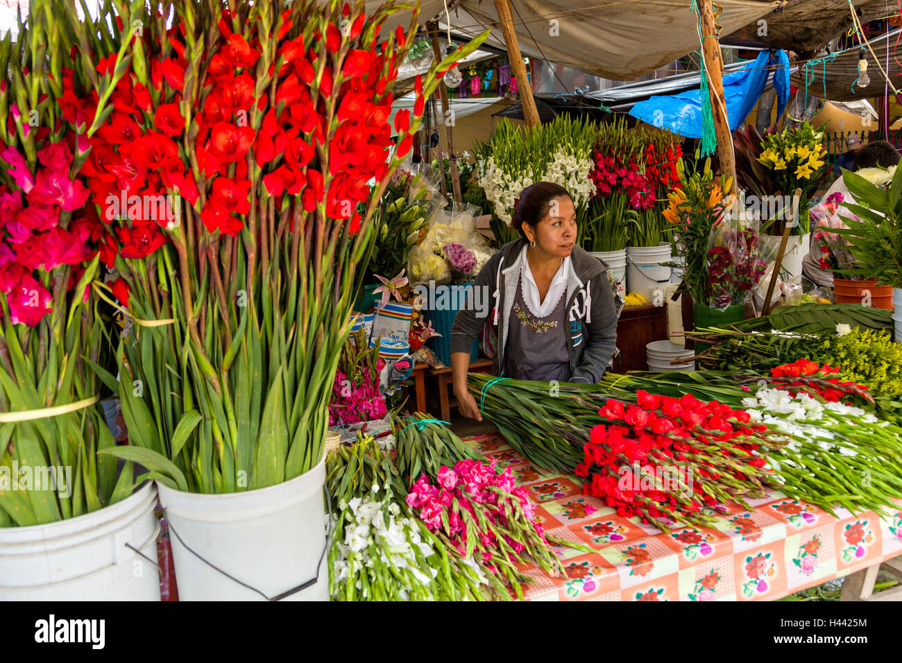 Un zapoteco donna vendita di fiori recisi freschi presso il mercato domenicale di Tlacolula de Matamoros, Messico. La strada regionale mercato richiama migliaia di venditori e acquirenti da tutto il Valles Centrales de Oaxaca. Foto Stock