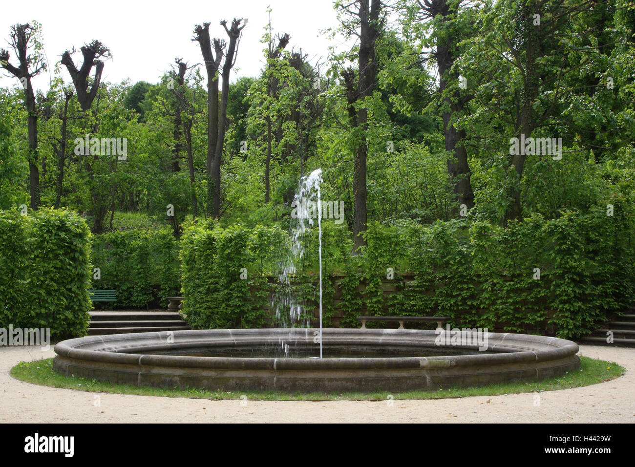 Germania, Svizzera Sassone, giardino barocco Großsedlitz, fontane, estati, Foto Stock