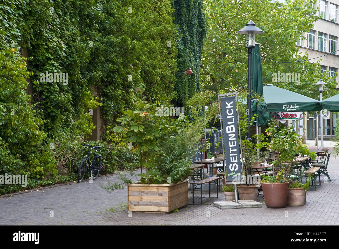 Street cafe 'Side sintesi', lane Trentel, cibo, Renania settentrionale-Vestfalia, Germania, Foto Stock
