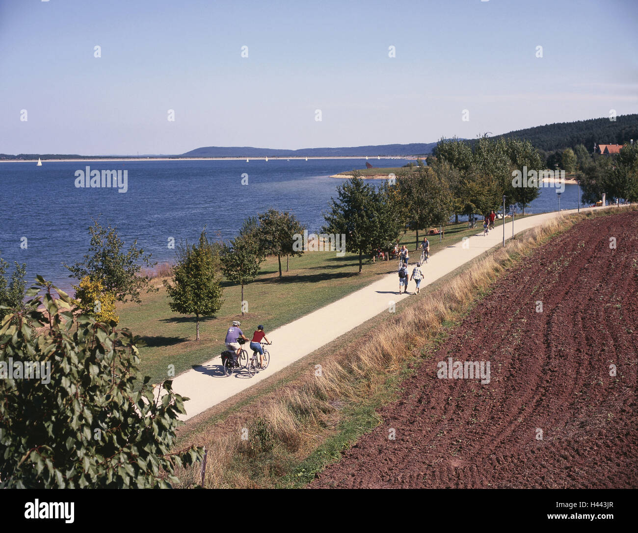 Germania, Franconia, campo Plein, mountain arieti, bromo brook lago, pista ciclabile, Baviera, Franconia centrale, lago, pianamente, shore, banca Modo, Modo, ciclista, pedonale, destinazione, vacanze, ferie, estate, Foto Stock