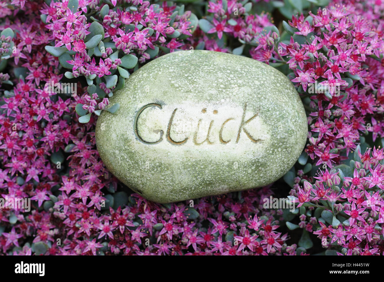 La pietra, l'etichetta 'fortuna', Foto Stock