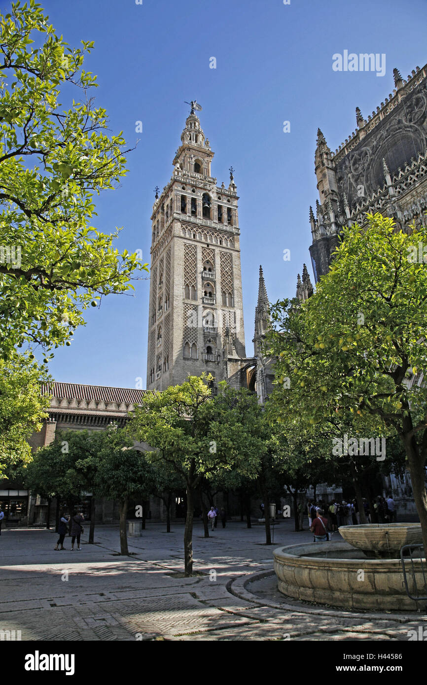 Spagna, Andalusia, Siviglia, cattedrale, Torre campanaria, corte arancione, Europa, città, centro città, torre Giralda, Steeple, landmark, edificio minareto, architettura, luogo di interesse storico, maurisch, come di un Cristiano, Late-Gothic, plataresk, Rinascimento, Foto Stock