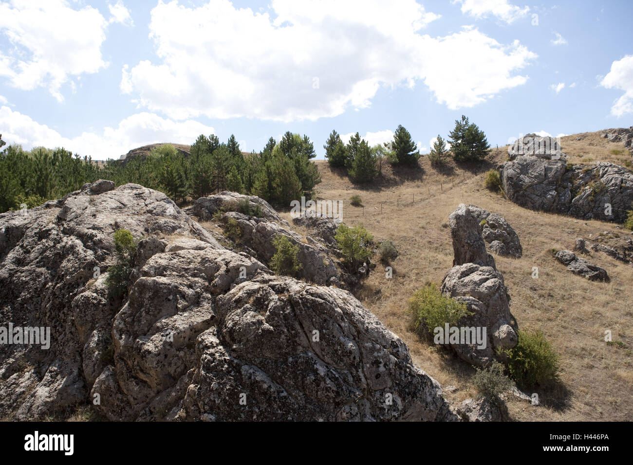 La Turchia, la regione del Mar Nero, scenario, rock, Foto Stock