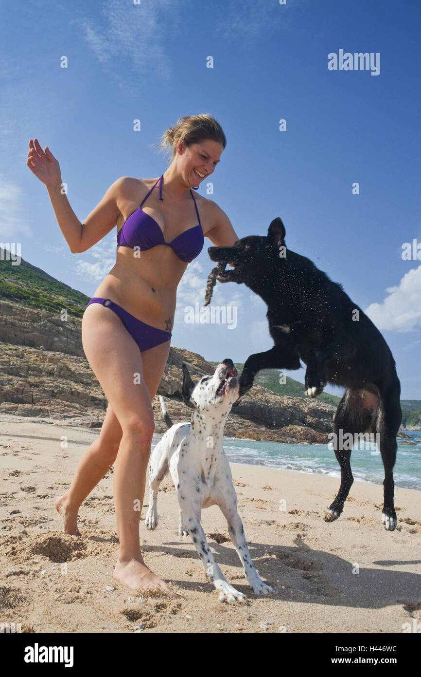 Francia, Corsica, spiaggia, giovane donna, cani, play, Foto Stock