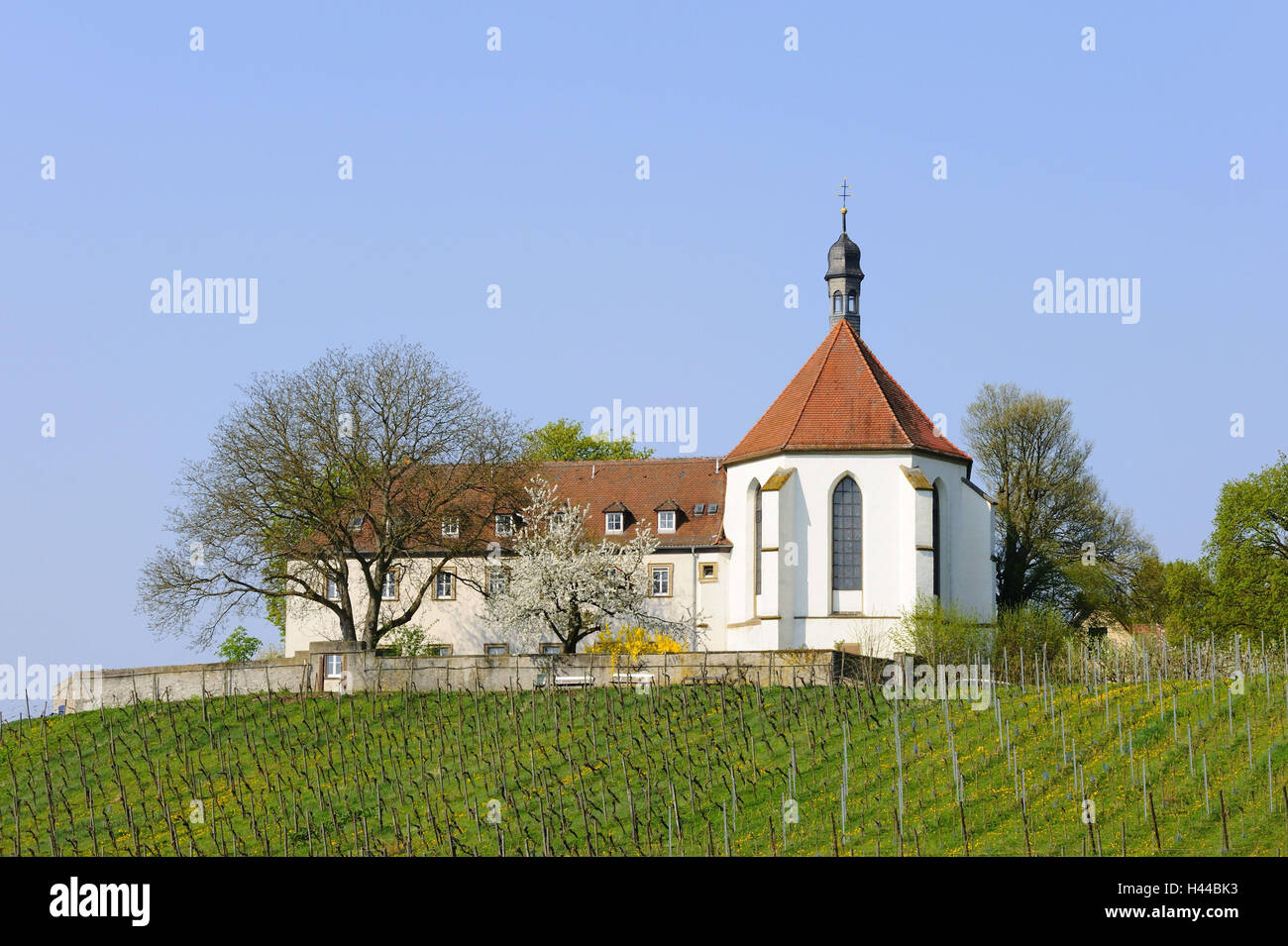In Germania, in Baviera, Bassa Franconia, Volkach, bird's castle, vigneto, Foto Stock