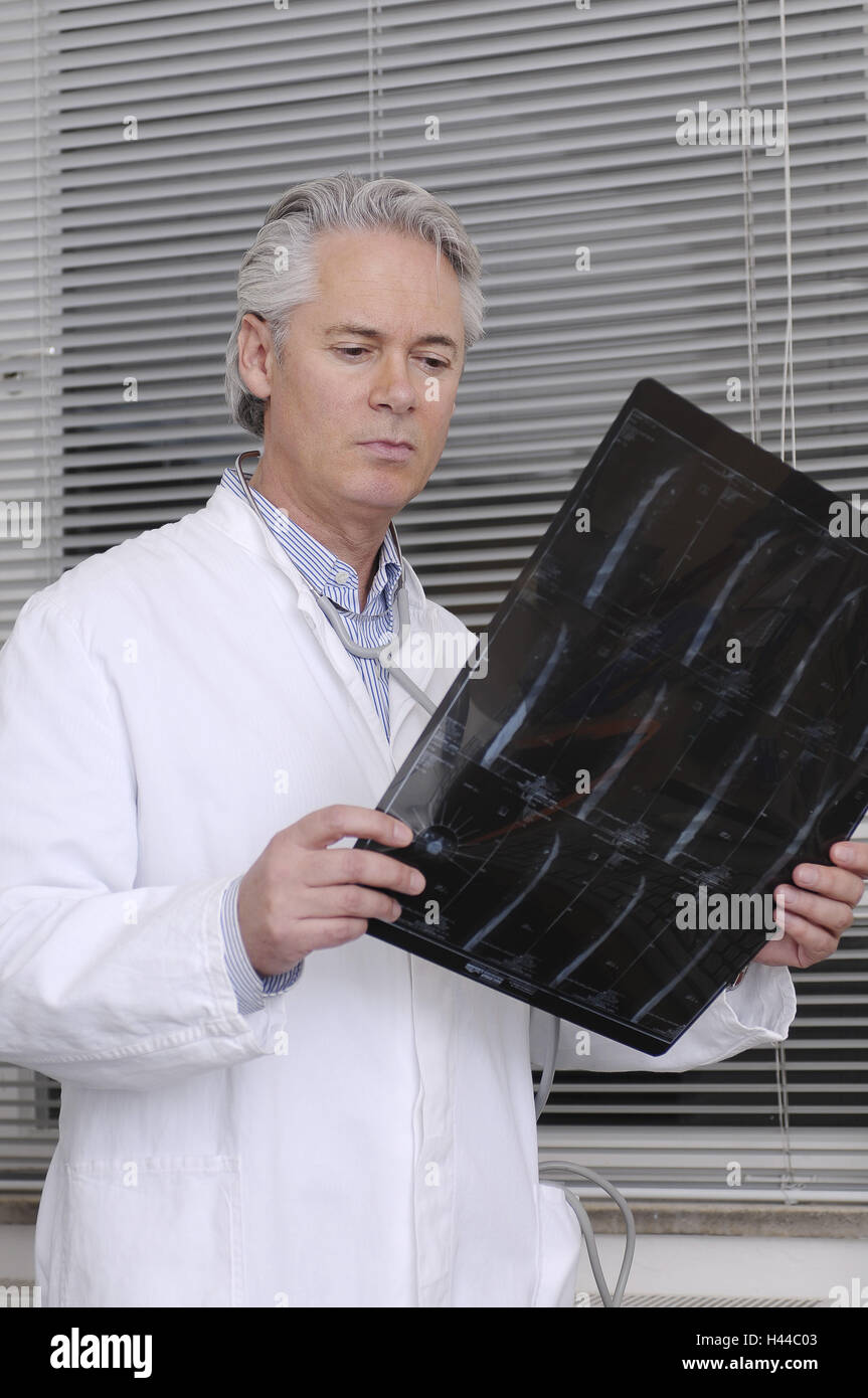 Medico, X-ray picture, concentrazione, Foto Stock