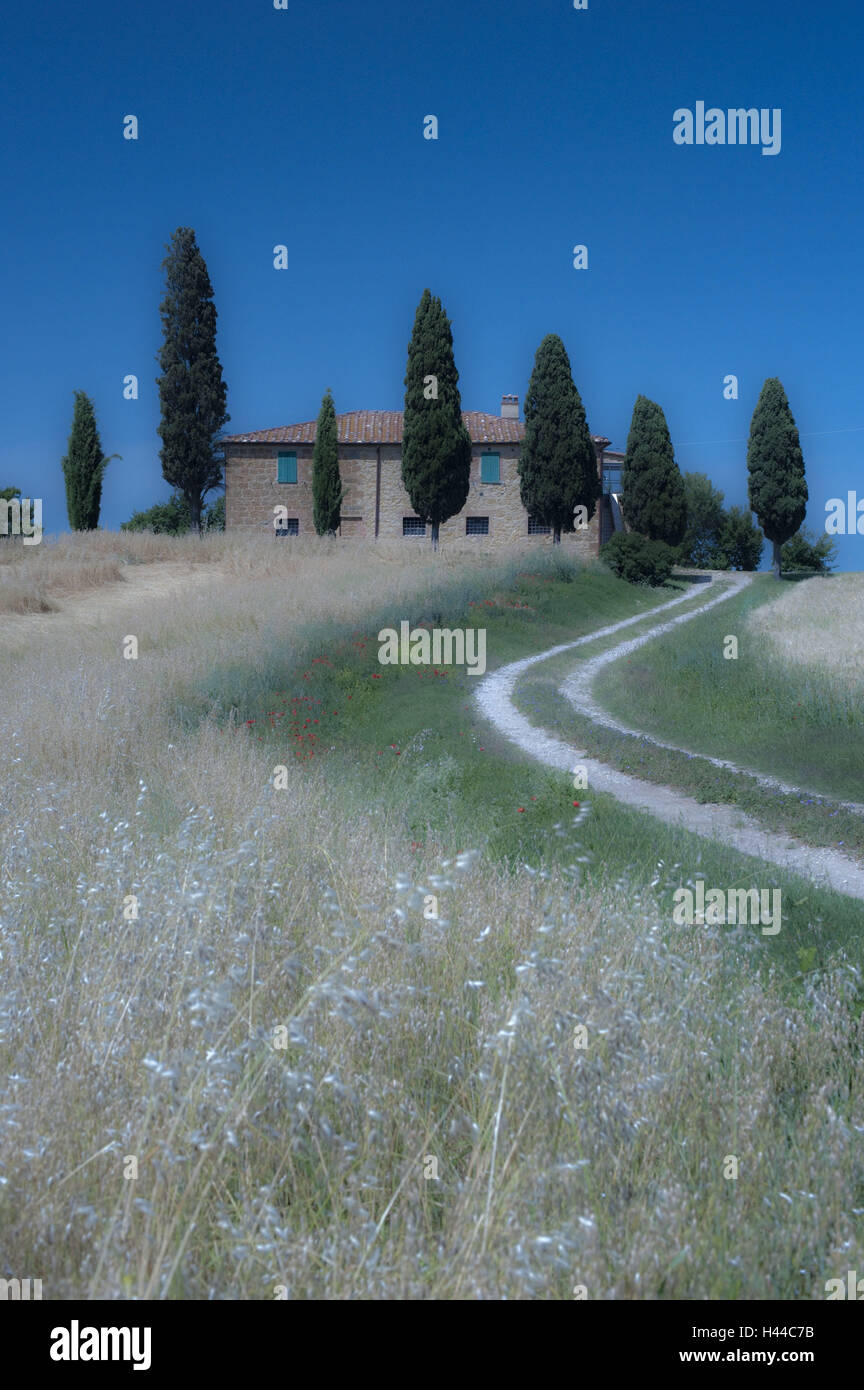 L'Italia, Toscana, Val d'Orcia, hill, casa, cipressi, crepuscolo, val d'Orcia, Toscana paesaggio, paesaggio, natura, casa residenziale, agriturismo, alberi, nessuno, campo di grano, grano-campo di grano in crescita, paese lane, modo, grano, proprietà, la clausura, rurally, idillio, Foto Stock