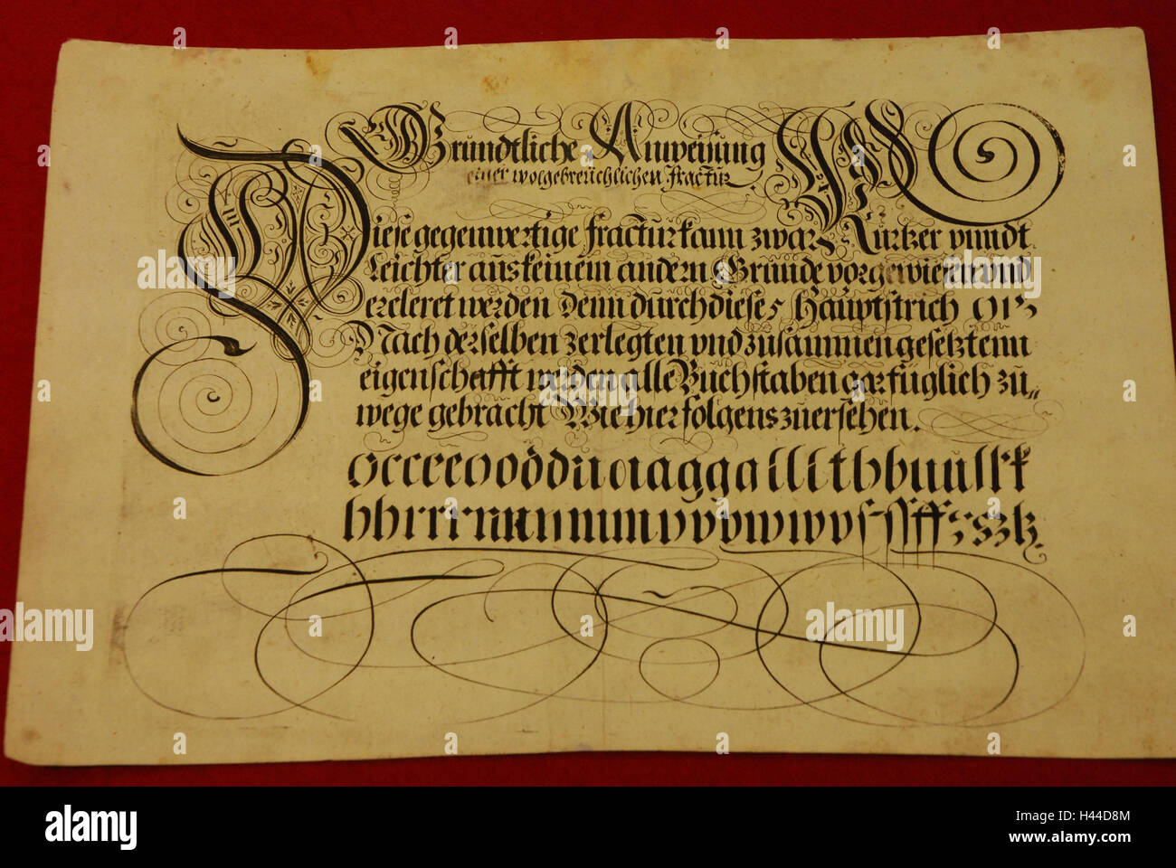 Germania, Sassonia-Anhalt, Lutherstadt Wittenberg, università, biblioteca, documento papiro, Foto Stock