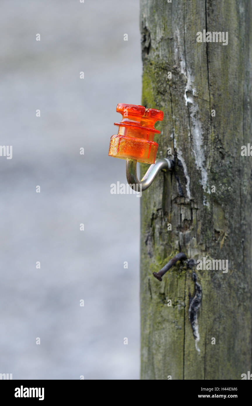 Recinzione di pascolo, post, isolatore chiodo, metallo, plastica, arancione Foto Stock