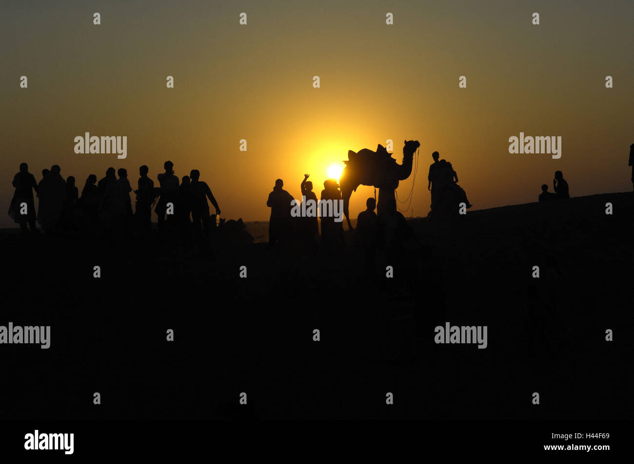 Deserto, cammelli, persone, silhouette, tramonto, Foto Stock