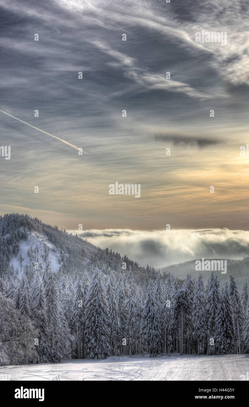 Montagne, legno, copertura nuvolosa, neve Foto Stock