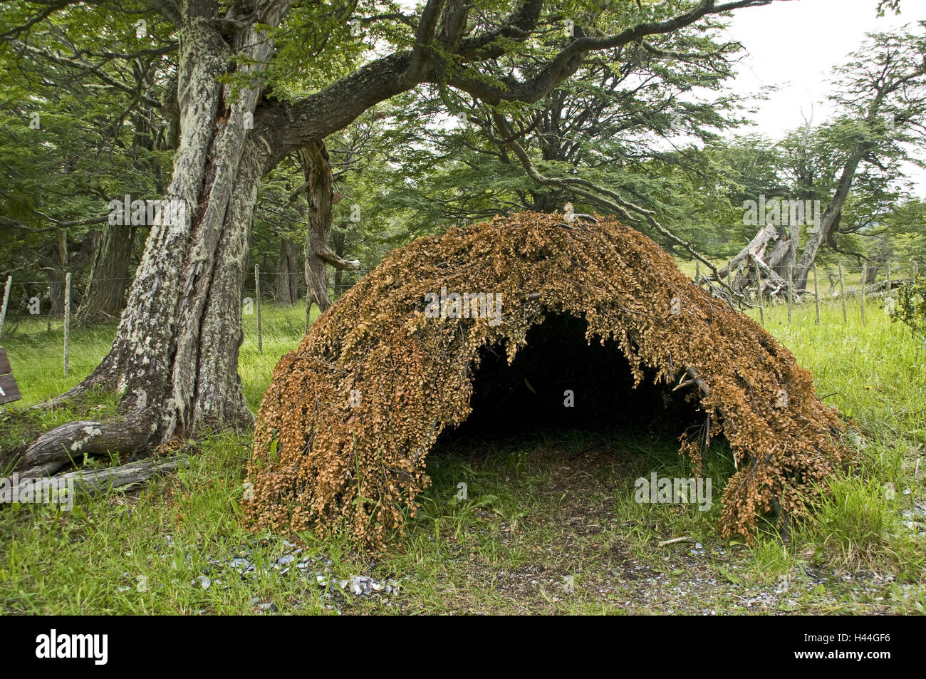 Argentina, Tierra del Fuego, Canale del Beagle, bay Haberton, rifugio nativi 'Yamana', Foto Stock