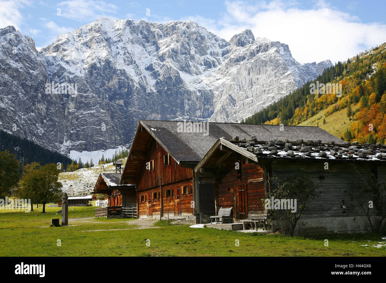 Engalmen, autunno, Karwendel, Hinterriß, Austria, Foto Stock