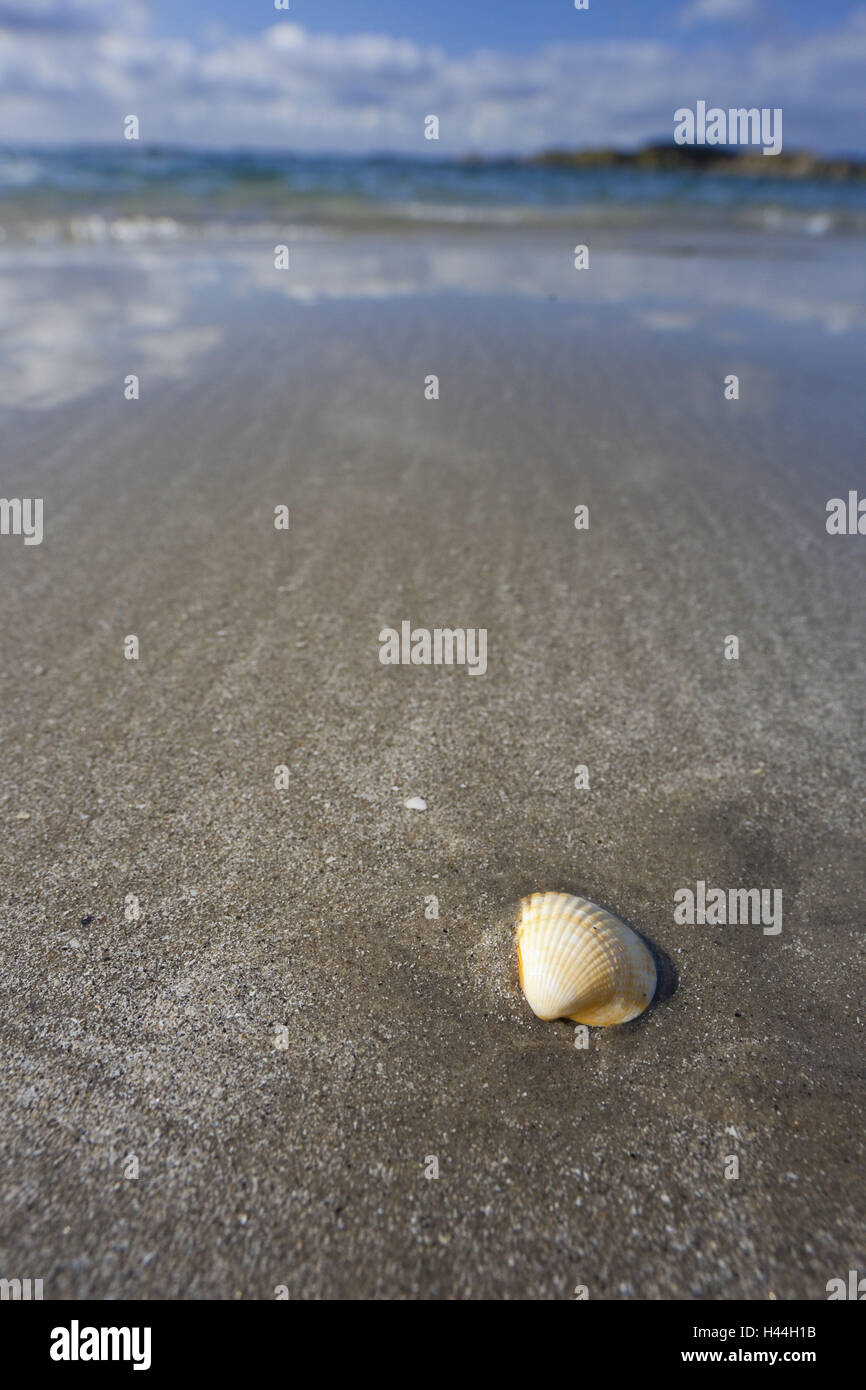 Norvegia, Rogaland, Loshamn, il Mare del Nord, spiaggia, cozze, Foto Stock