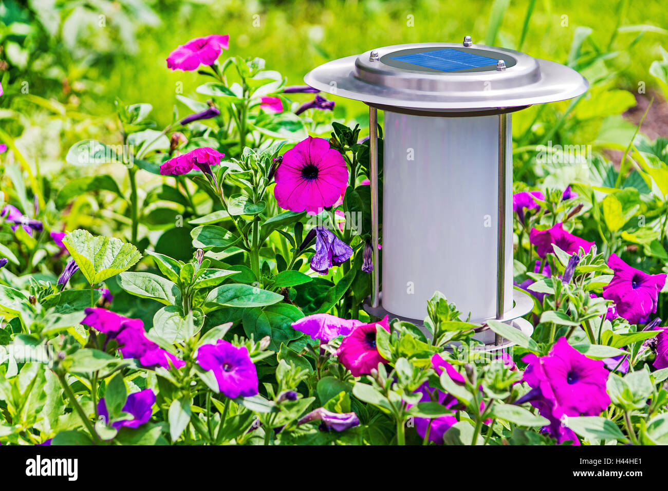 Solare Giardino lampada accanto a fiori gerani bed. Foto Stock