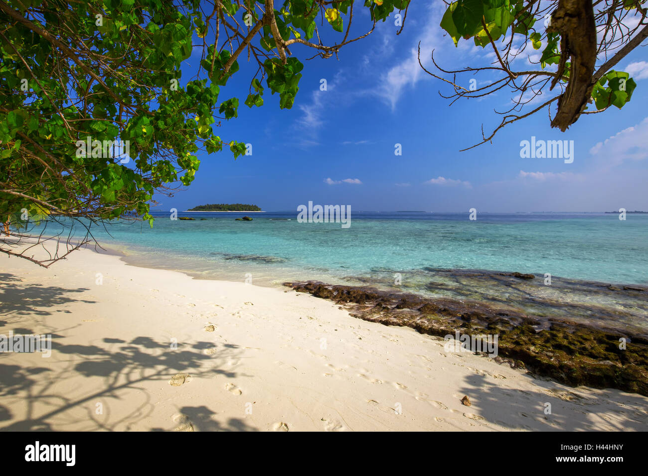Isola tropicale con spiaggia di sabbia con palme e turchesi acque chiare nelle Maldive Foto Stock