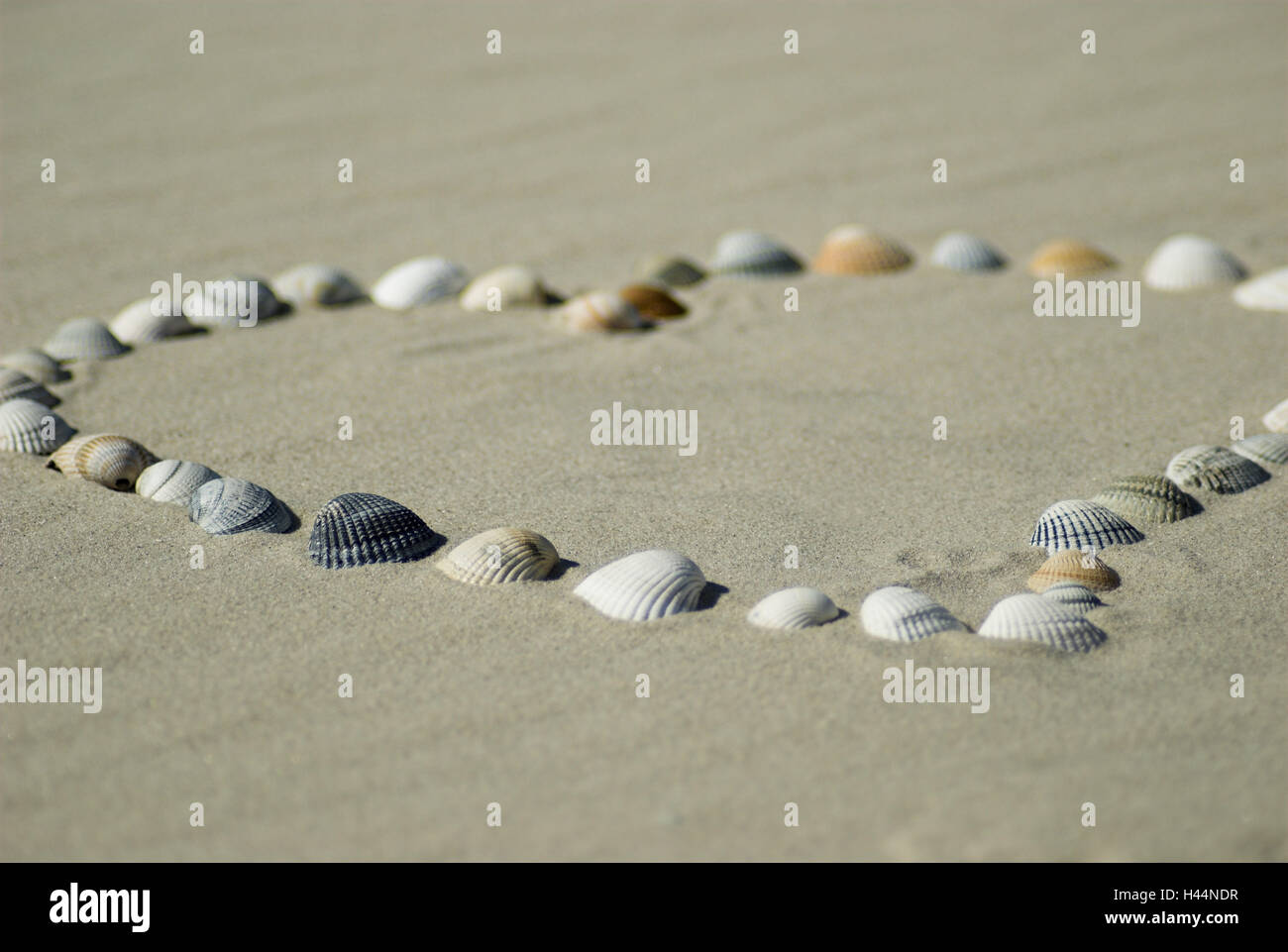 Cuore di cozze, cuore, spiaggia, Foto Stock