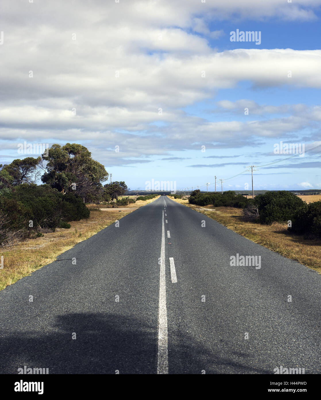 Sud Africa, Bredaarsdorp, west cape, cape mezza isola, street, Foto Stock