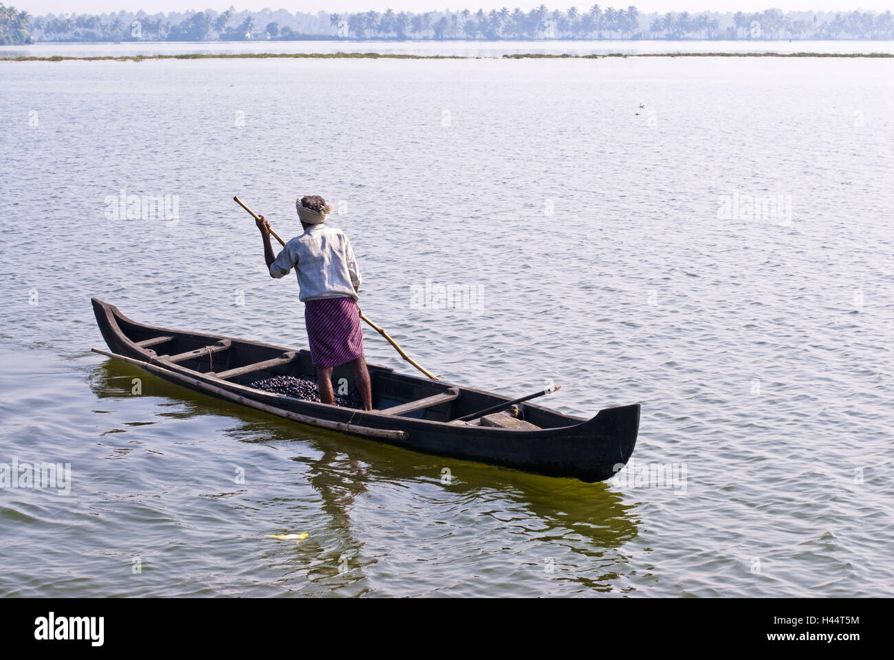 L'uomo, barca, lagune, Kochi, India Kerala, Foto Stock