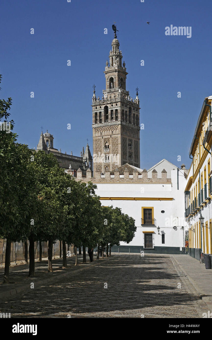 Spagna, Andalusia, Siviglia, cattedrale, Torre campanaria, l'Europa, la città, la Giralda, Steeple, landmark, tower building, minareto, architettura, luogo di interesse, maurisch, come di un Cristiano, Late-Gothic, plataresk, Rinascimento, turismo, Foto Stock