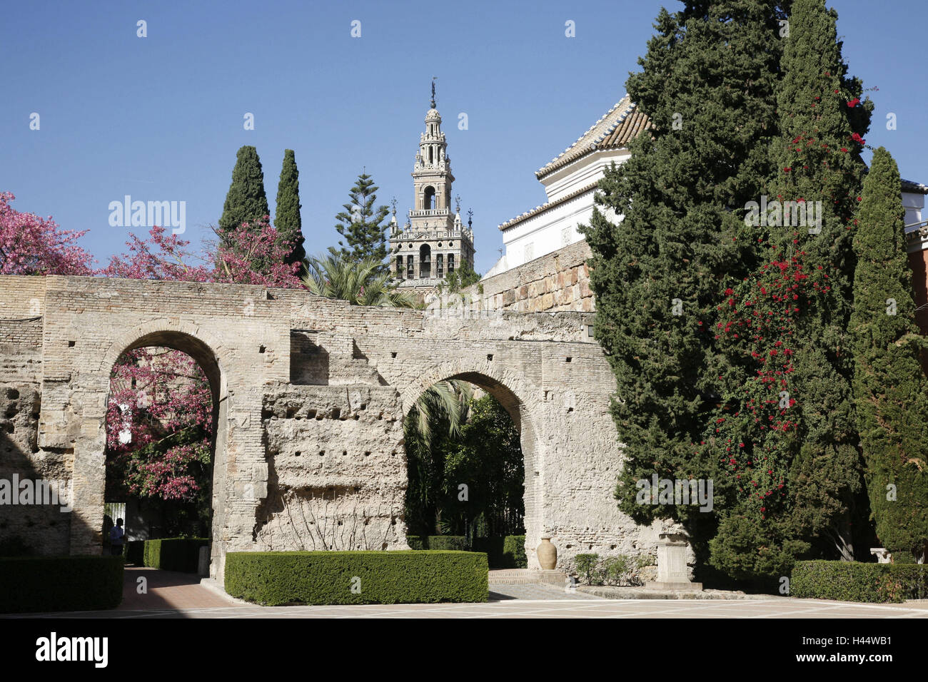 Spagna, Andalusia, Siviglia, Alcazar, intervallo di input, mura difensive, il campanile, l'Europa, la città di King Palace, un edificio di architettura, tower, in arabo, nasredinisch, granadinisch, toledisch, maurisch, Mudejar, Giralda, luogo di interesse, alberi e siepi, turiste Foto Stock