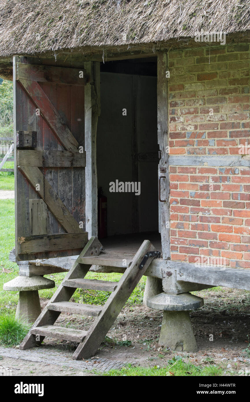 La struttura di legno granaio supportato da pietre staddle a Weald and Downland Open Air Museum. Singleton, Sussex, Inghilterra Foto Stock