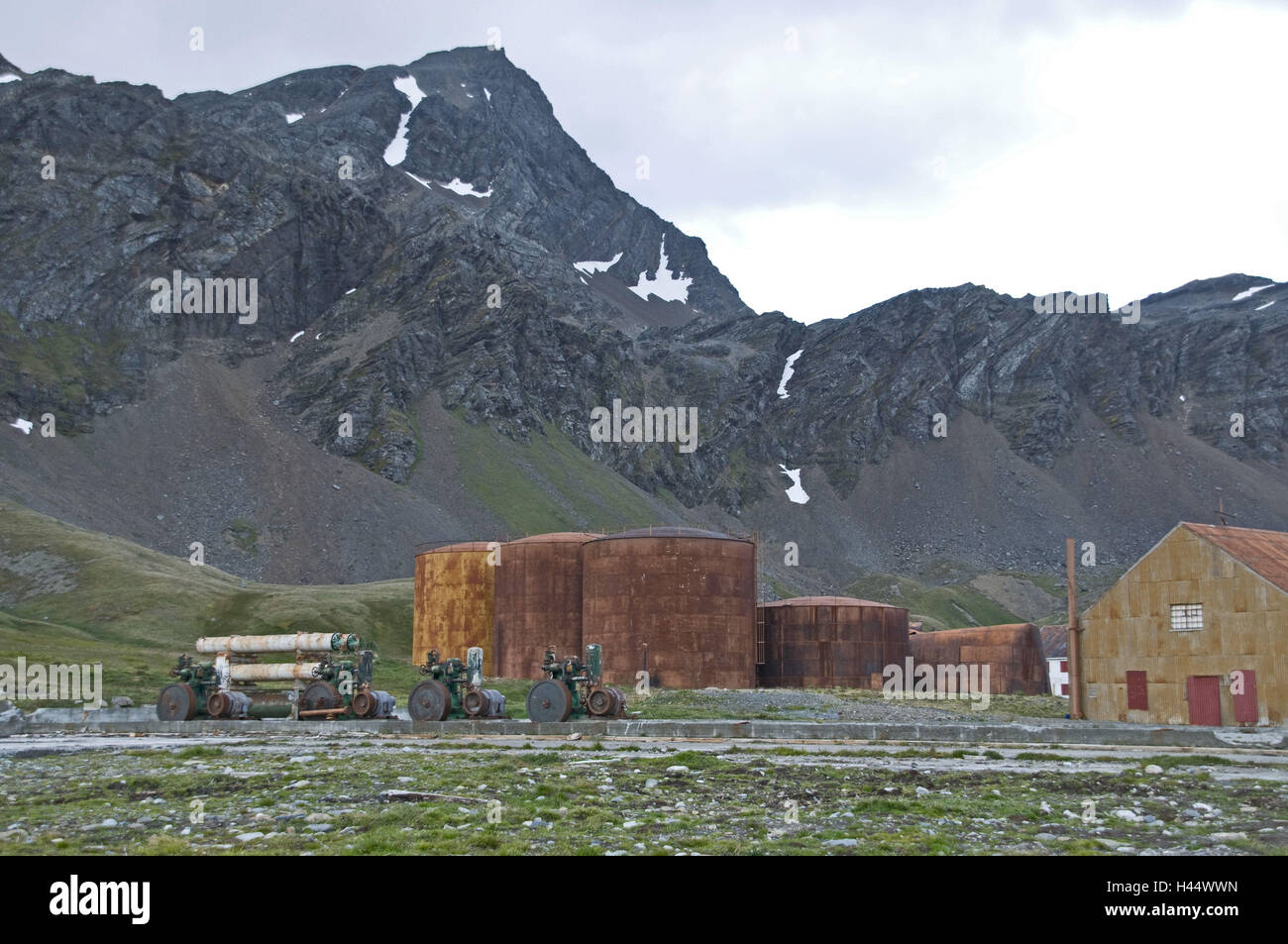 Südgeorgien, Grytviken, costa, balena vecchia stazione di lavorazione, Foto Stock